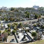 日野公園墓地